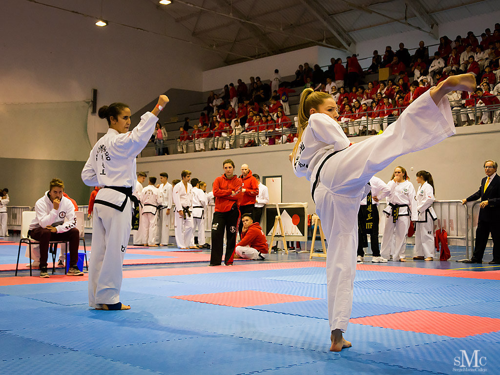 COPA SEUL, 2017  (128).JPG